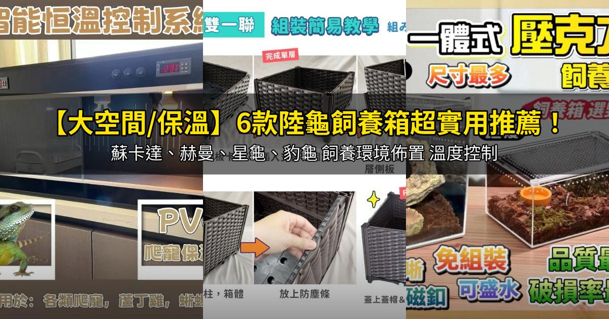 2026【大空間/保溫】6款陸龜飼養箱超實用推薦!蘇卡達、赫曼、星龜、豹龜 飼養環境佈置 溫度控制|PTT/Dcard嚴選