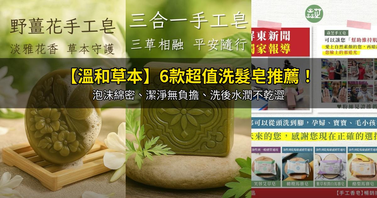 2026【溫和草本】6款超值洗髮皂推薦!泡沫綿密、潔淨無負擔、洗後水潤不乾澀|PTT/Dcard嚴選