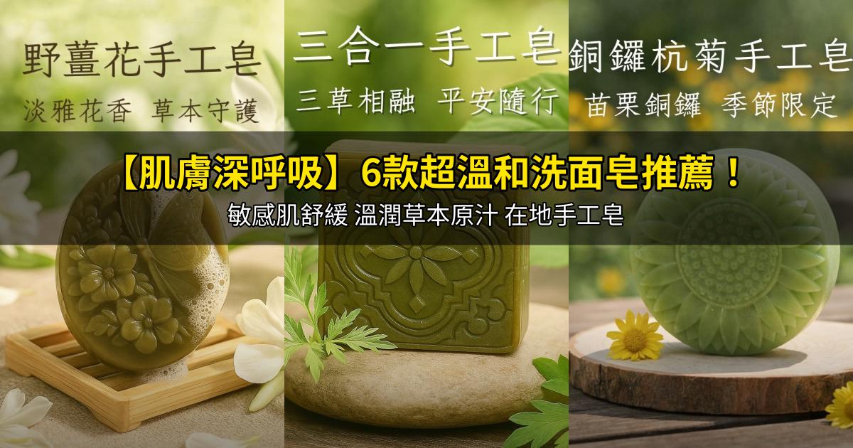 2026【肌膚深呼吸】6款超溫和洗面皂推薦！敏感肌舒緩 溫潤草本原汁 在地手工皂｜PTT/Dcard嚴選