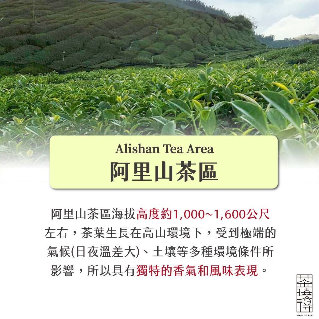 茶曉得特寫
