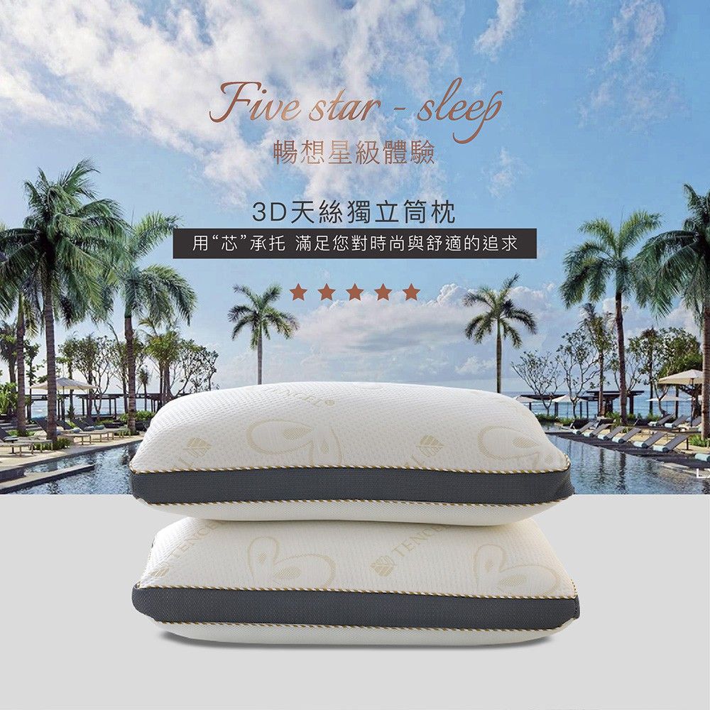 岱思夢枕頭外觀