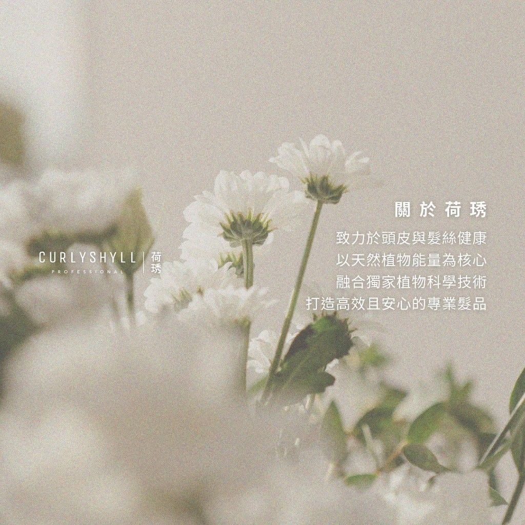荷琇 Curly Shyll 質感圖