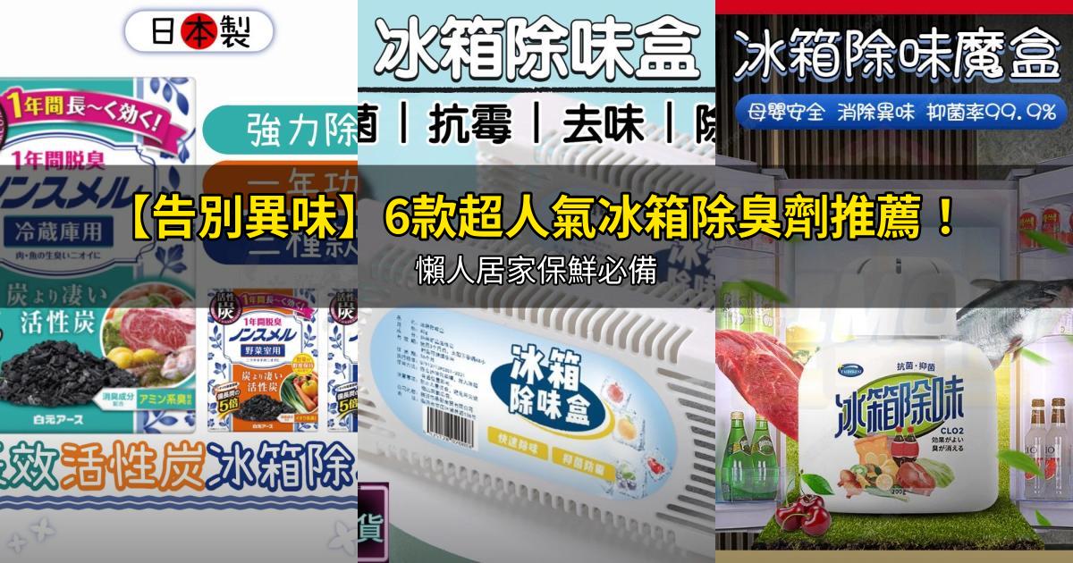 2026【告別異味】6款超人氣冰箱除臭劑推薦!懶人居家保鮮必備|PTT/Dcard嚴選