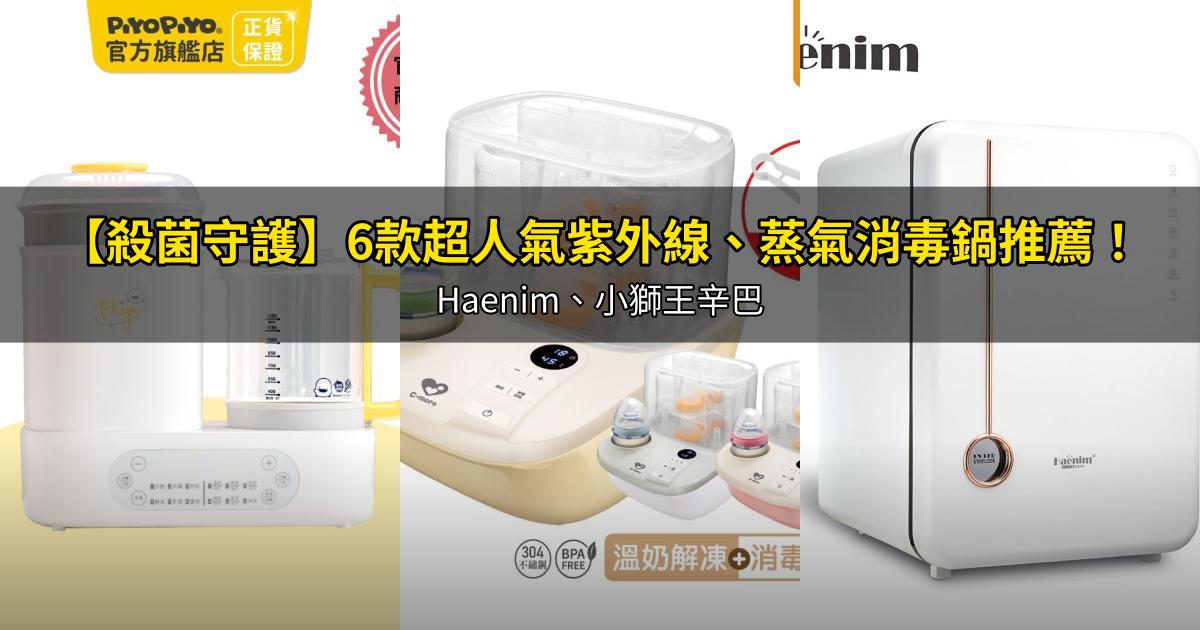 2026【殺菌守護】6款超人氣紫外線、蒸氣消毒鍋推薦！Haenim、小獅王辛巴｜PTT/Dcard嚴選