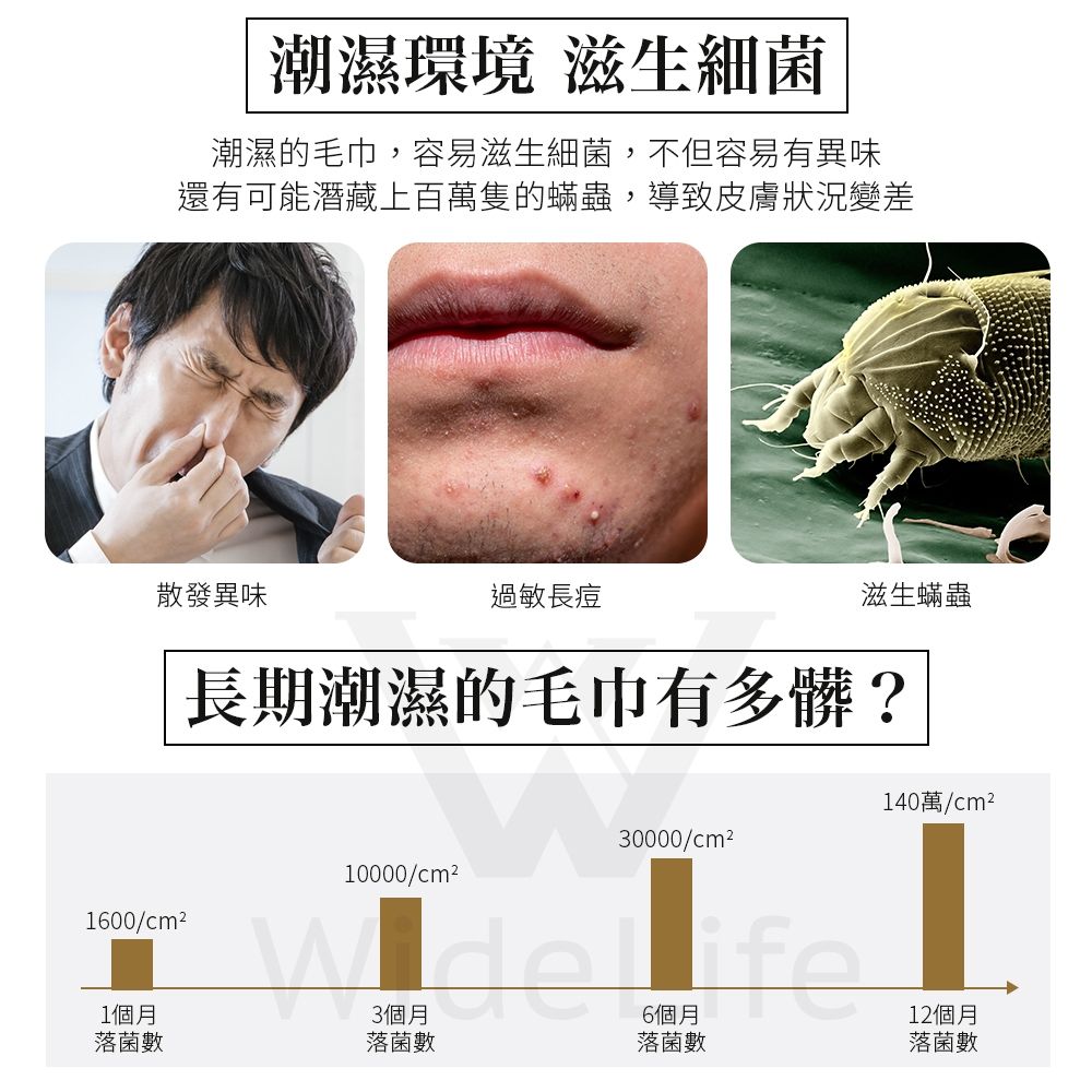 圖片2