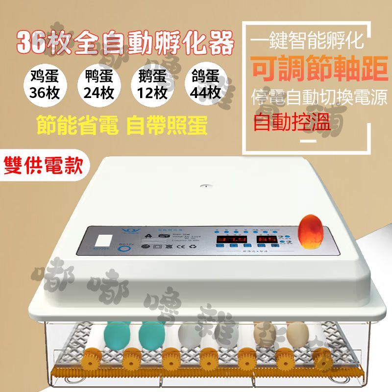 圖1