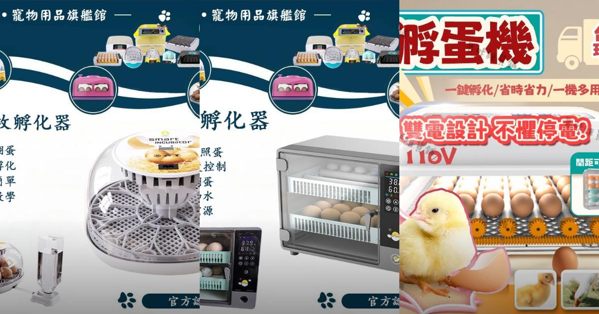 2025【智能控溫】7款全自動智能孵化機推薦|適合多種禽蛋 孵蛋成功率提升PTT/Dcard必看評比!