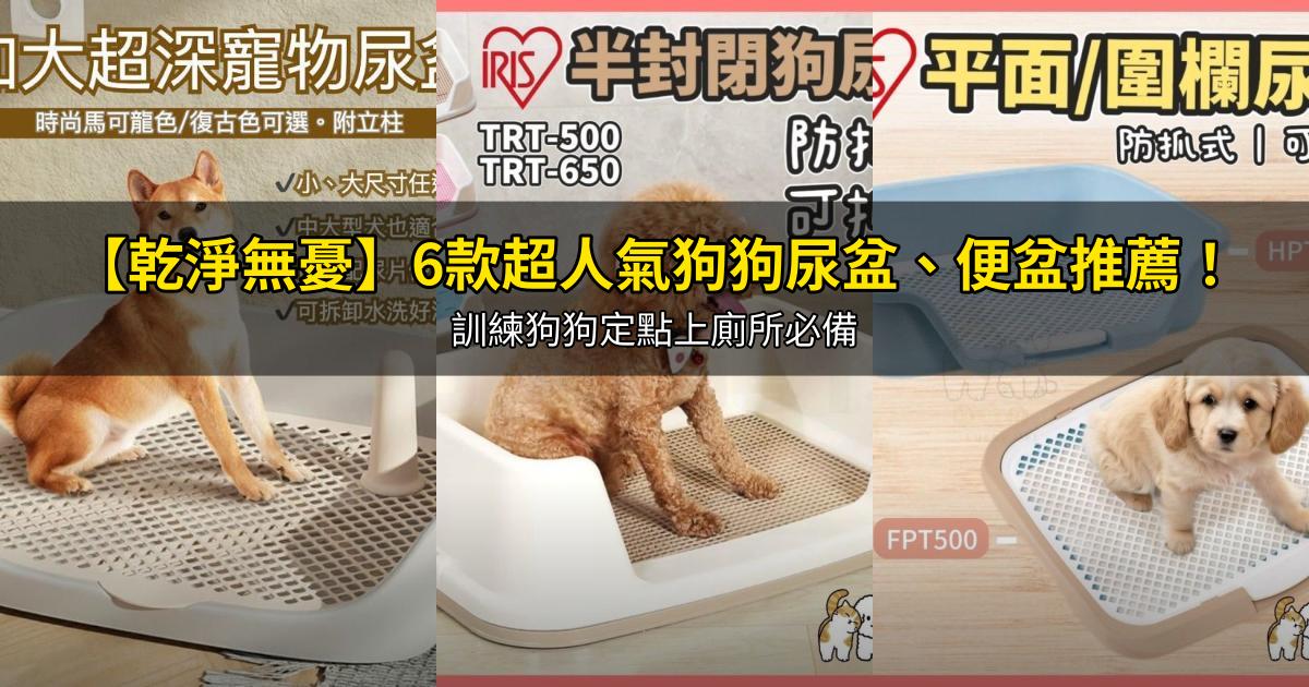 2026【乾淨無憂】6款超人氣狗狗尿盆、便盆推薦!訓練狗狗定點上廁所必備|PTT/Dcard嚴選