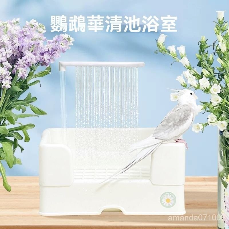 Image2