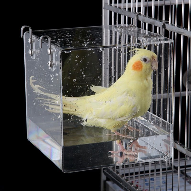 Image2