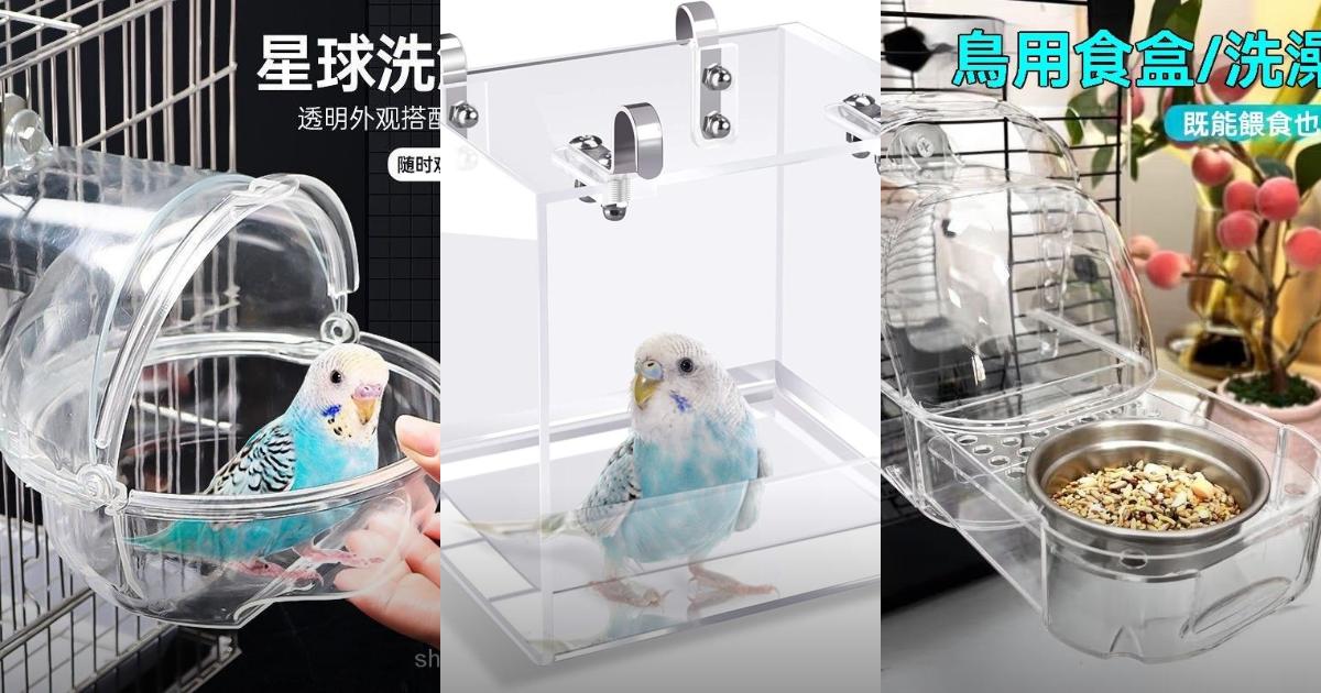 2025【鳥寶專用】6款鸚鵡洗澡盆推薦|安心耐用自動水循環功能PTT/Dcard全攻略