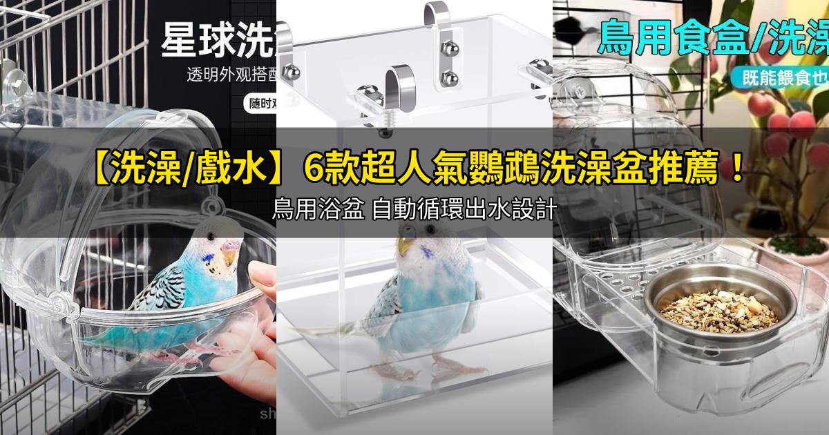 2026【洗澡/戲水】6款超人氣鸚鵡洗澡盆推薦!鳥用浴盆 自動循環出水設計|PTT/Dcard嚴選