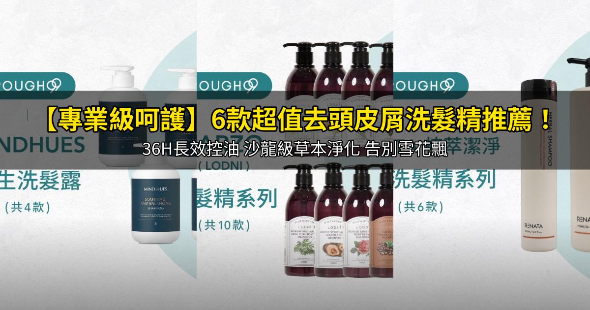 2026【專業級呵護】6款超值去頭皮屑洗髮精推薦！36H長效控油 沙龍級草本淨化 告別雪花飄｜PTT/Dcard嚴選