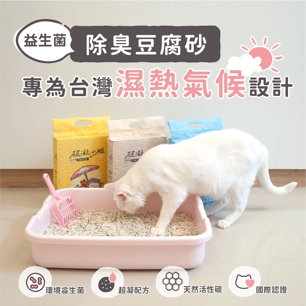 超凝小姐2