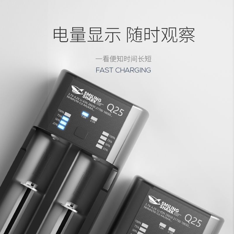 智能兼容各種蓄電池