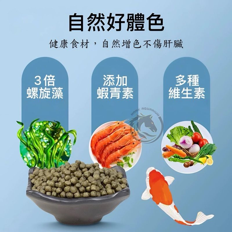 圖片3