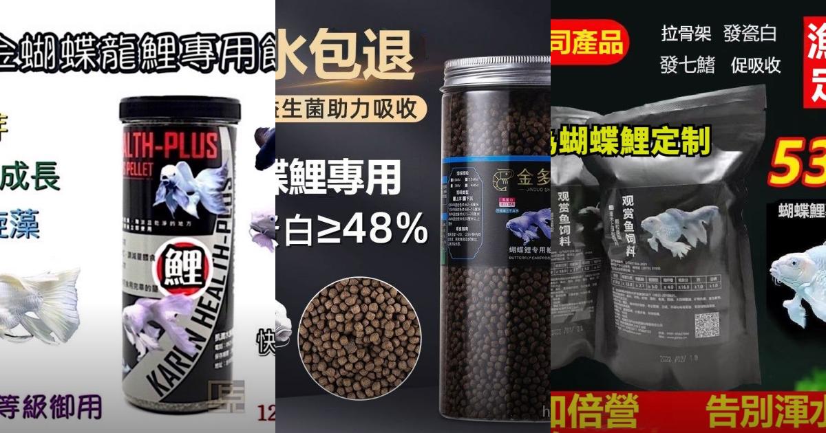 2025【錦鯉飼料】3款高蛋白魚糧推薦|水族新手、專業養魚愛好者選購指南