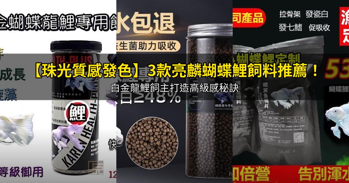 2026【珠光質感發色】3款亮麟蝴蝶鯉飼料推薦!白金龍鯉飼主打造高級感秘訣|PTT/Dcard嚴選