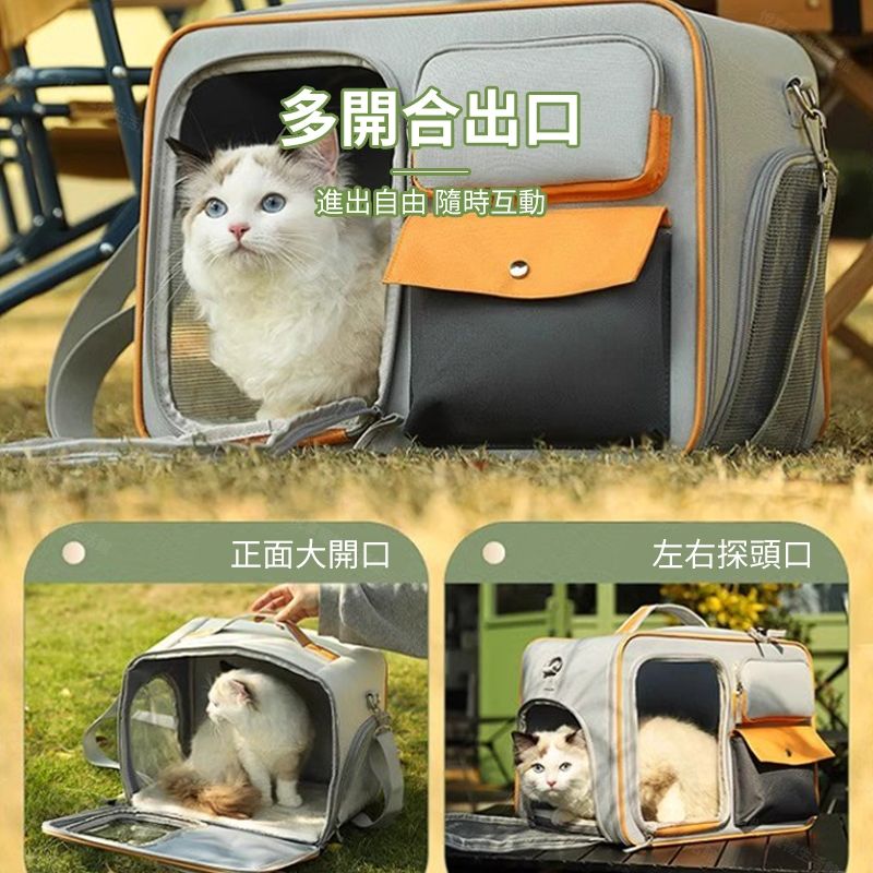 圖2