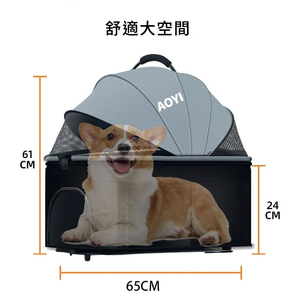 圖3