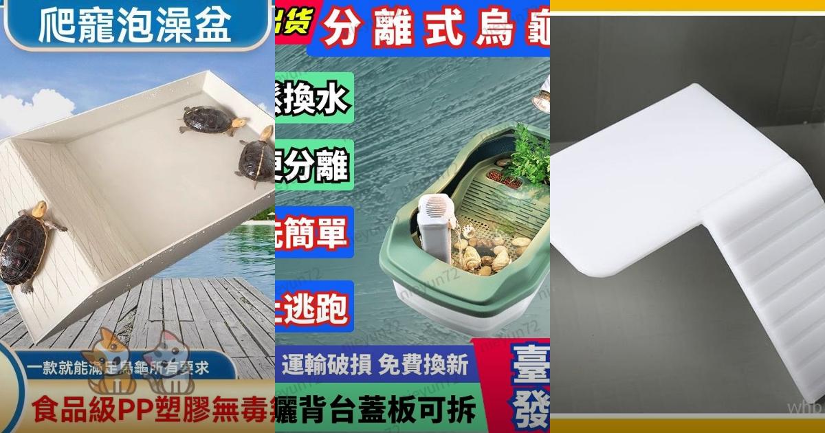2025【烏龜飼養】7款烏龜浮島、曬臺與生態缸推薦|打造專屬水陸兩棲溫馨龜屋