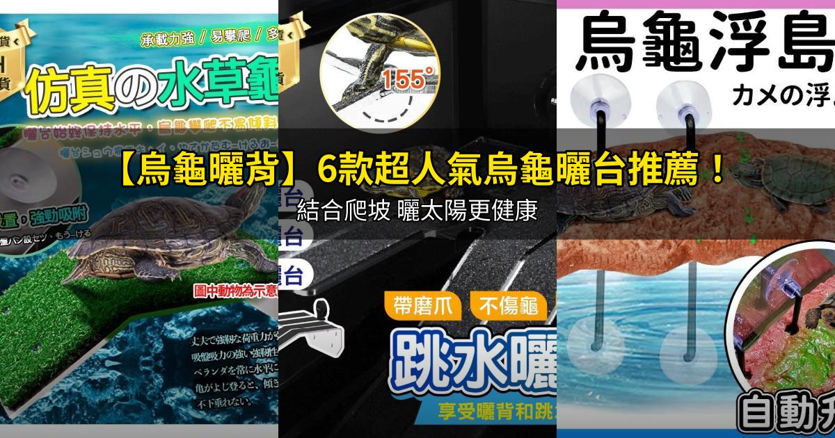 2026【烏龜曬背】6款超人氣烏龜曬台推薦!結合爬坡 曬太陽更健康|PTT/Dcard嚴選