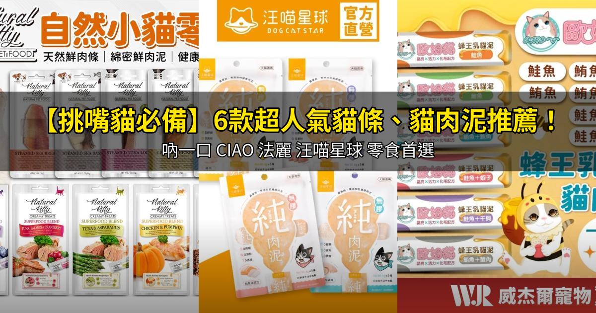 2026【挑嘴貓必備】6款超人氣貓條、貓肉泥推薦!吶一口 CIAO 法麗 汪喵星球 零食首選|PTT/Dcard嚴選