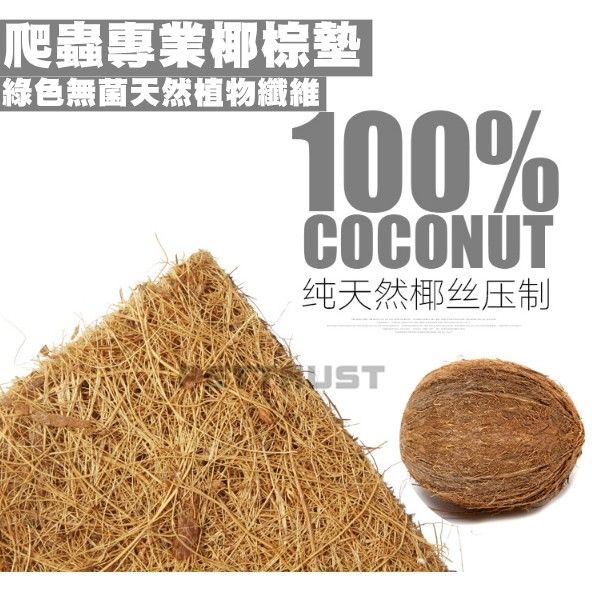 天然椰棕質感
