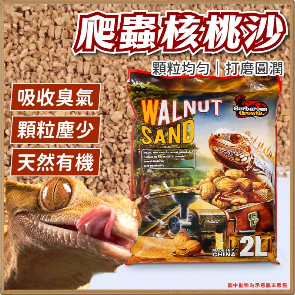 核桃沙細節