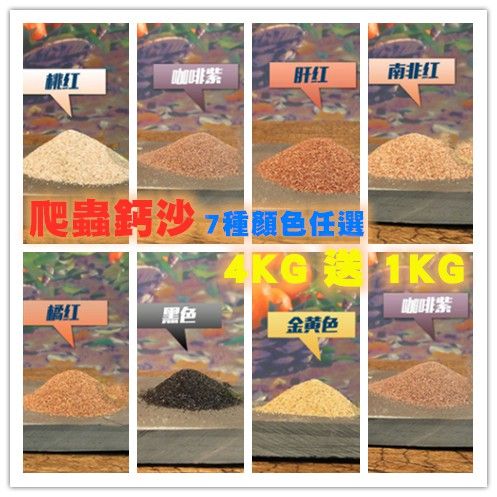 多色鈣沙選擇