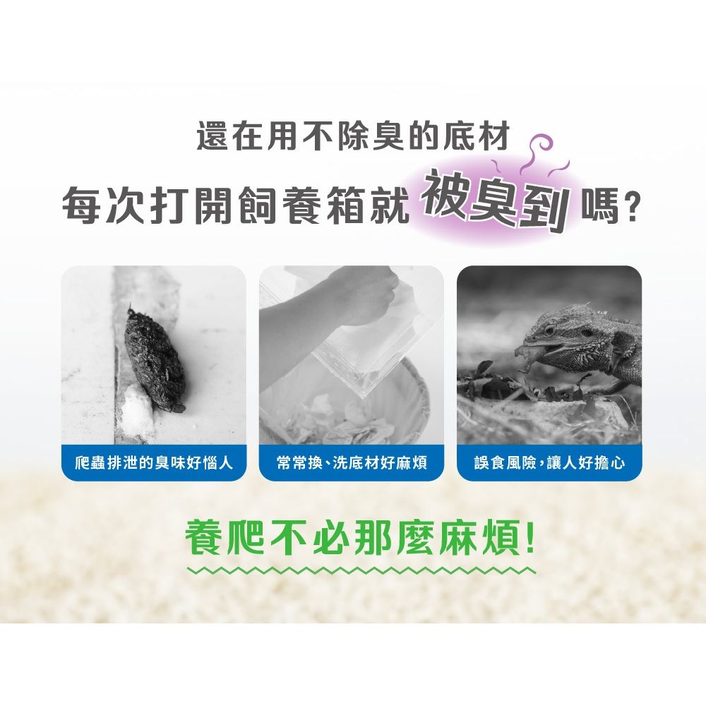 碳黑米白兩色