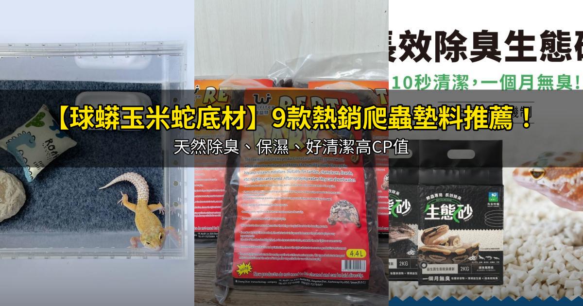 2026【球蟒玉米蛇底材】9款熱銷爬蟲墊料推薦！天然除臭、保濕、好清潔高CP值｜PTT/Dcard嚴選