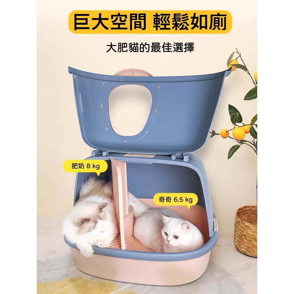 胖大喵3