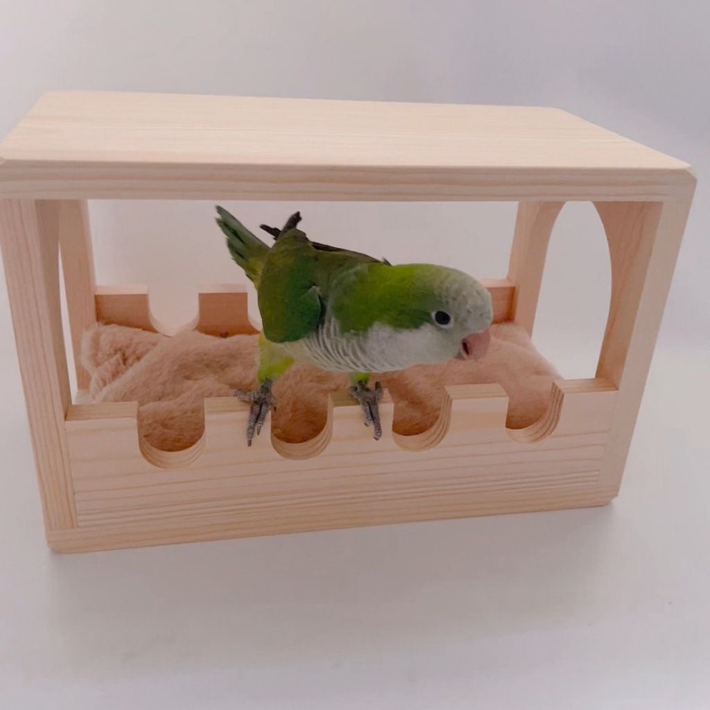 松木涼亭3