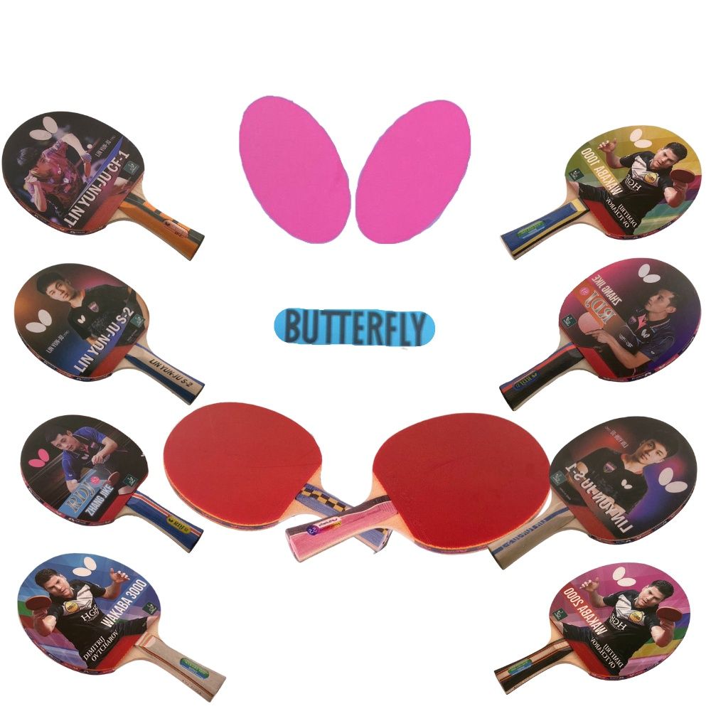 Butterfly2