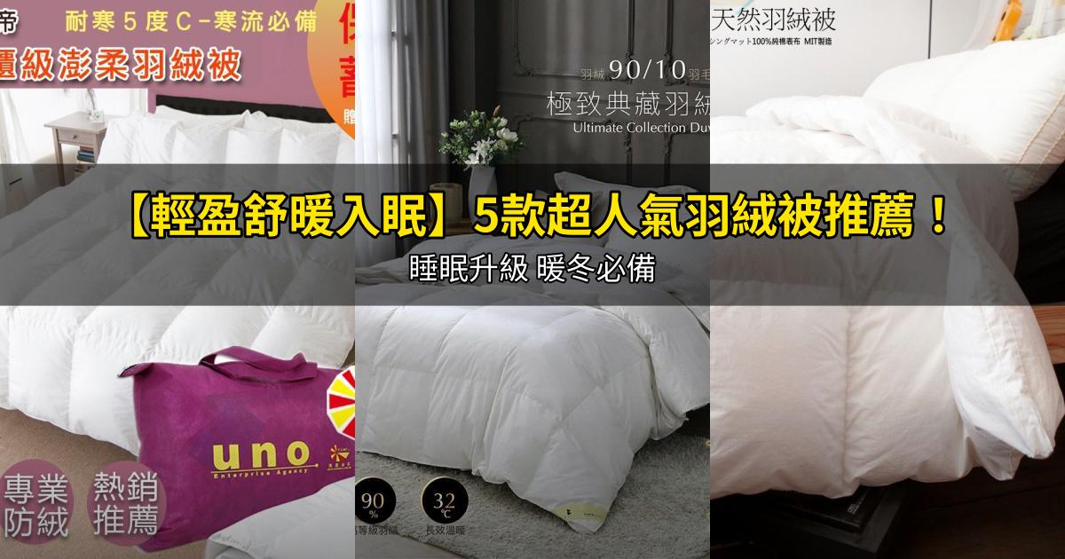 2026【輕盈舒暖入眠】5款超人氣羽絨被推薦!睡眠升級 暖冬必備|PTT/Dcard嚴選