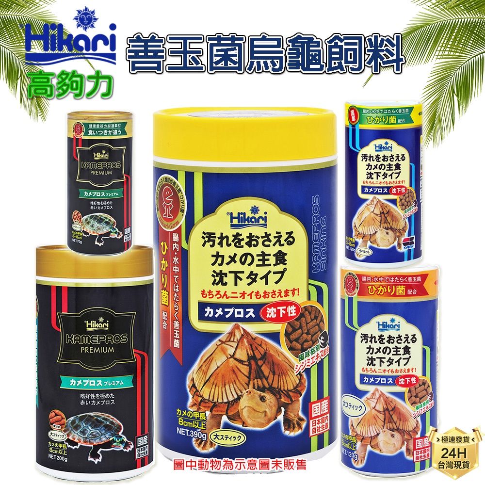 圖片1