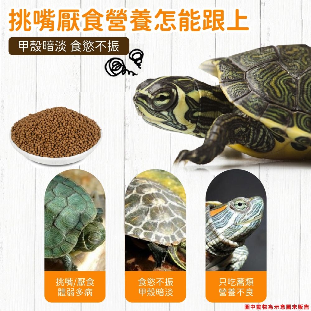 圖片2