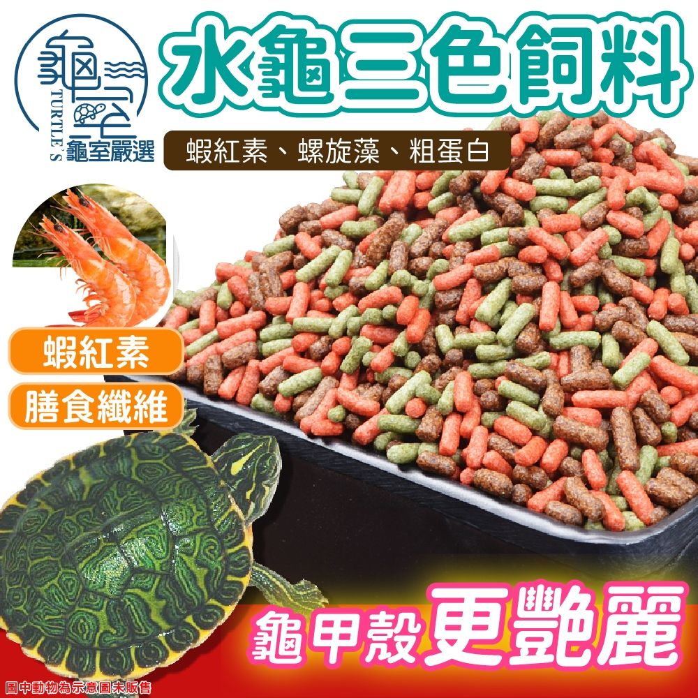 圖片1