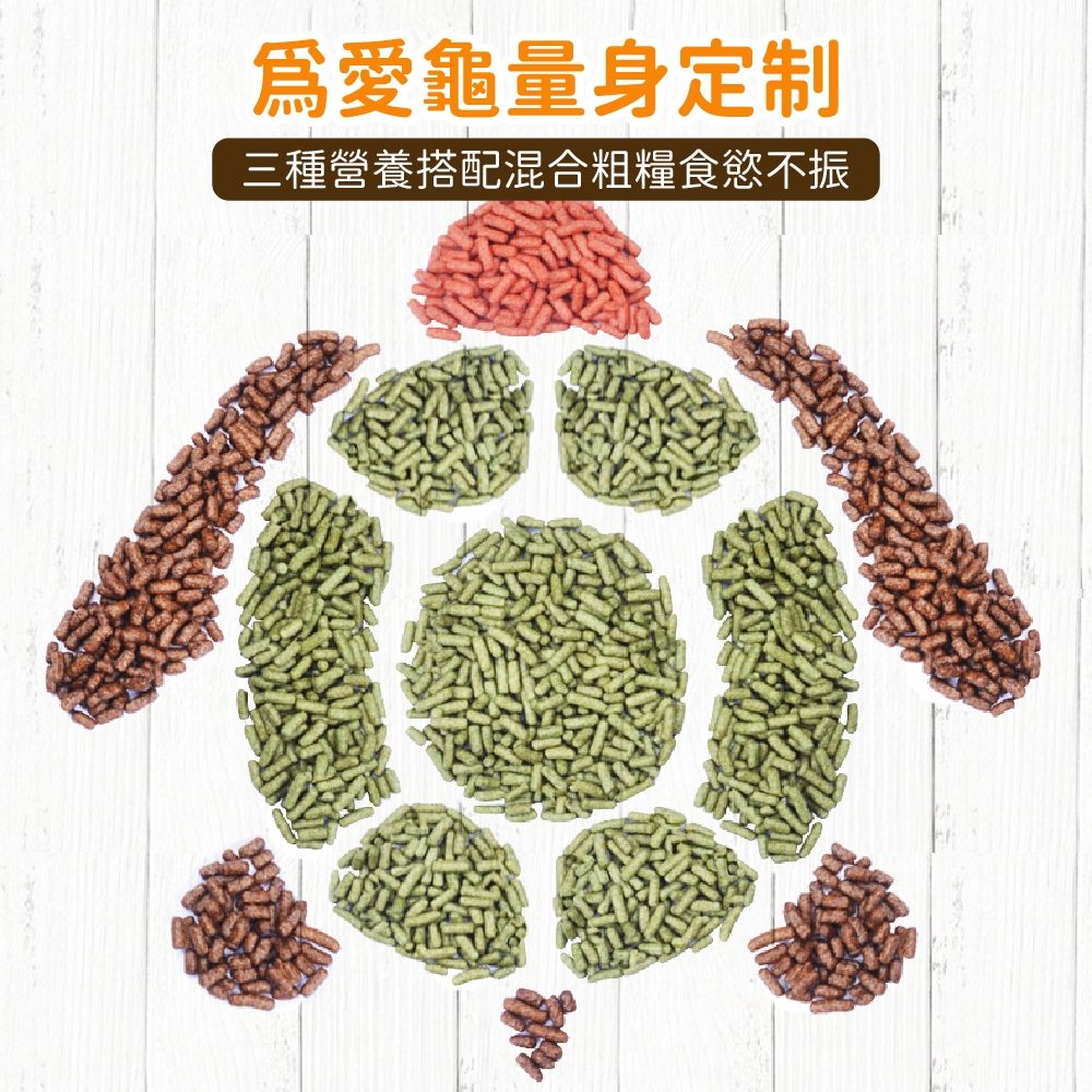 圖片3