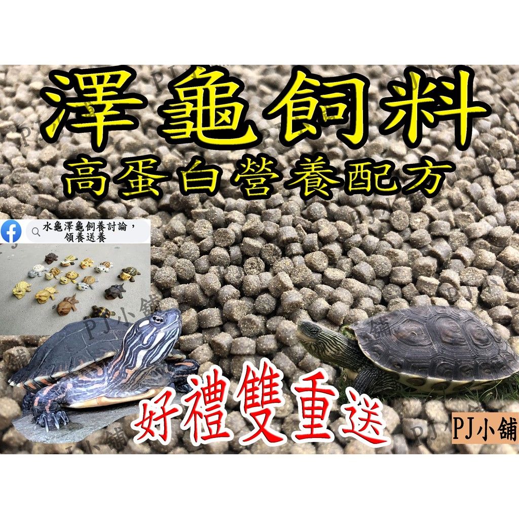 圖片1