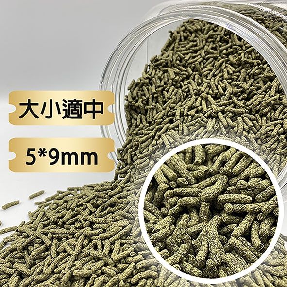 圖片3