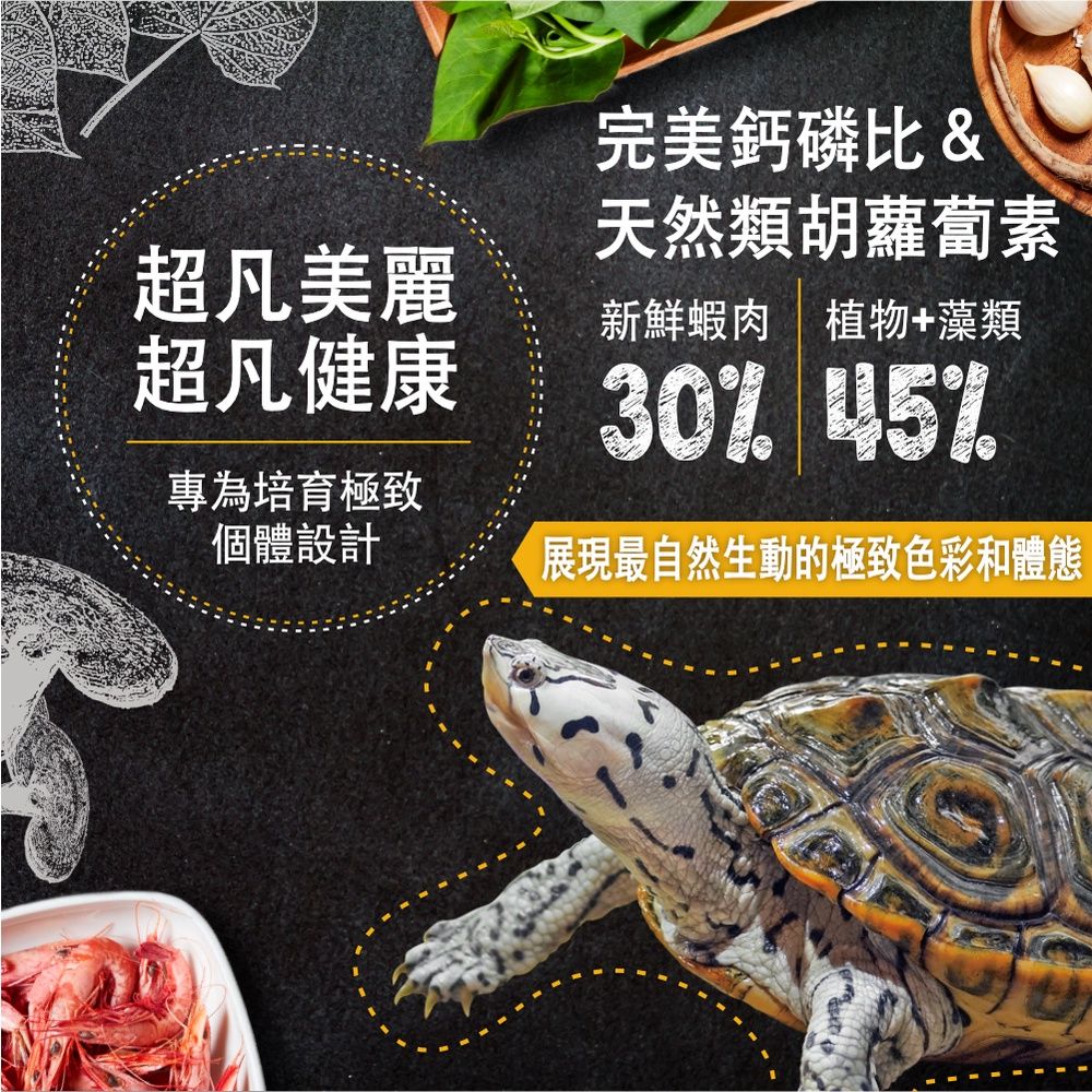 圖片3