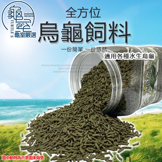 圖片1