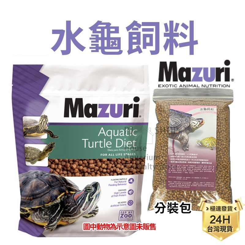 圖片1