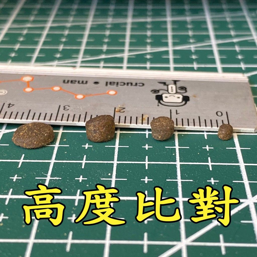 圖片3