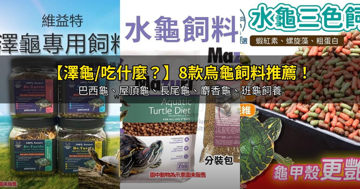 2026【澤龜/吃什麼?】8款烏龜飼料推薦!巴西龜、屋頂龜、長尾龜、麝香龜、班龜飼養|PTT/Dcard嚴選