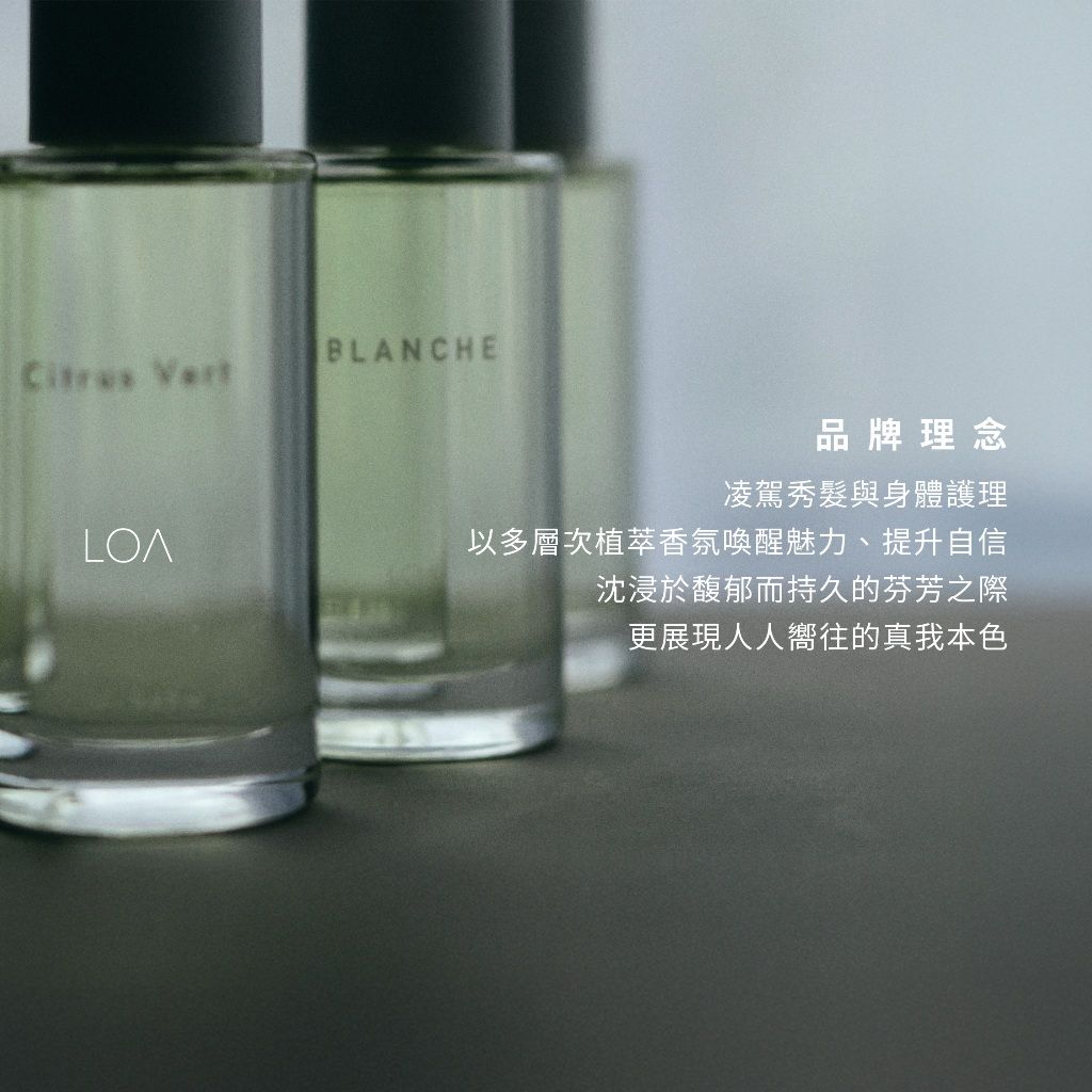 LOA oil 系列合照