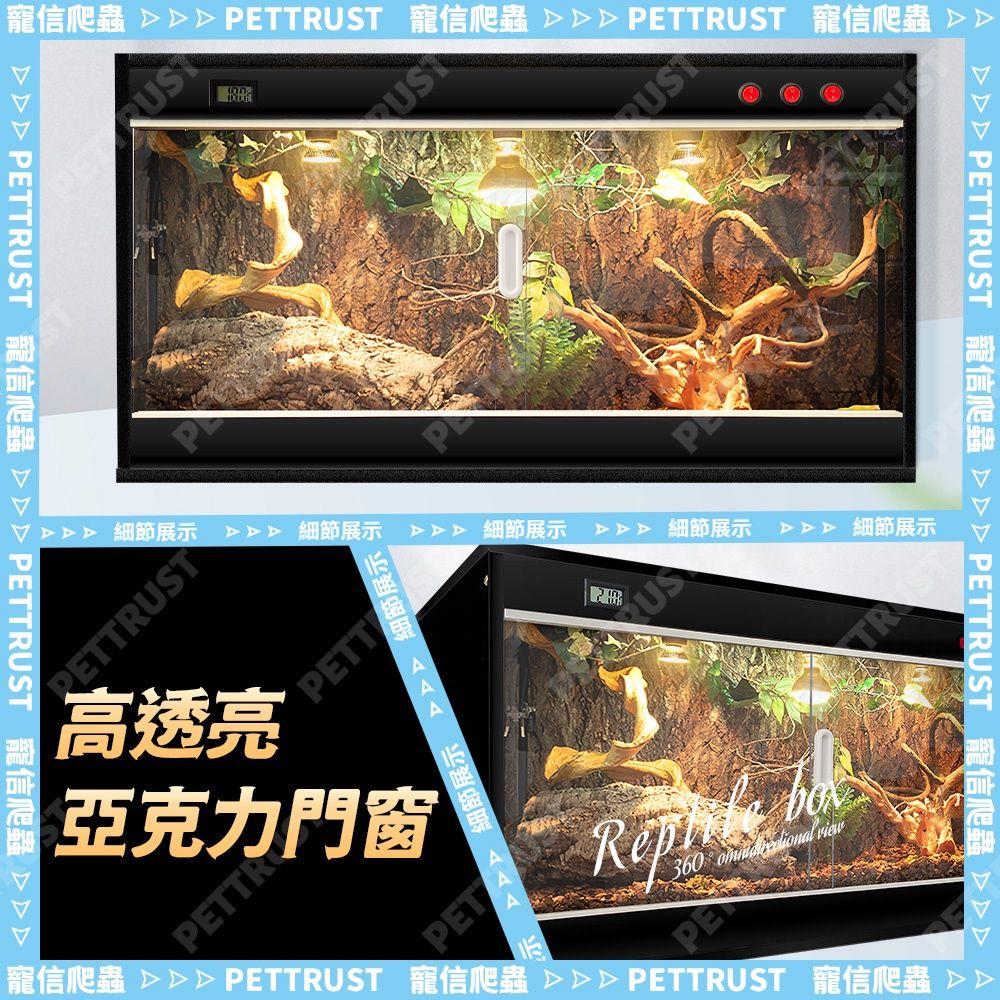 圖片3