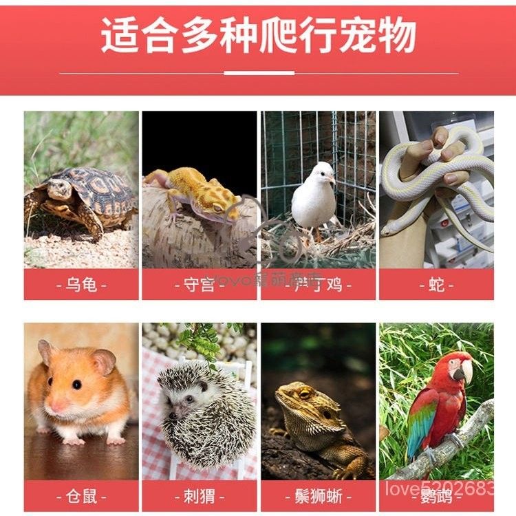 圖片3